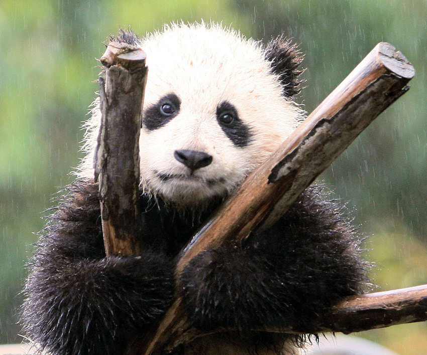 ??? ???? 7? ??, ‘??’ ???? ??