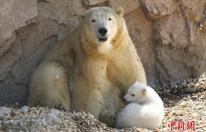 ??? ??(母子)? ?? ??? ?!