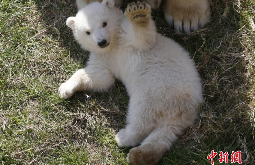 ??? ??(母子)? ?? ??? ?!