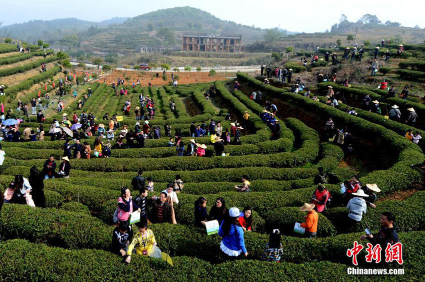 ???? ??? ?? ? ???? ??