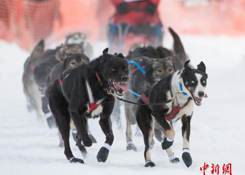 ???? ??? ????, ?? ??? ?? ??