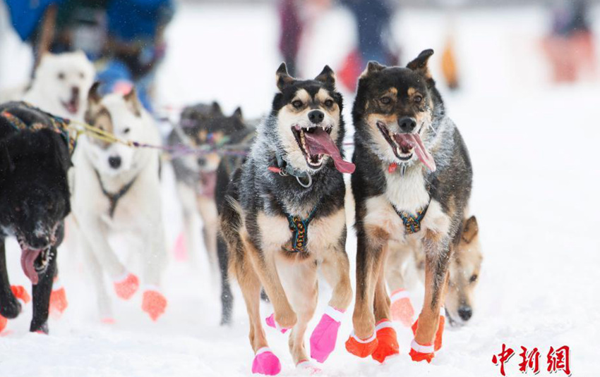 ??? ??? ????? ????? ???? ????.