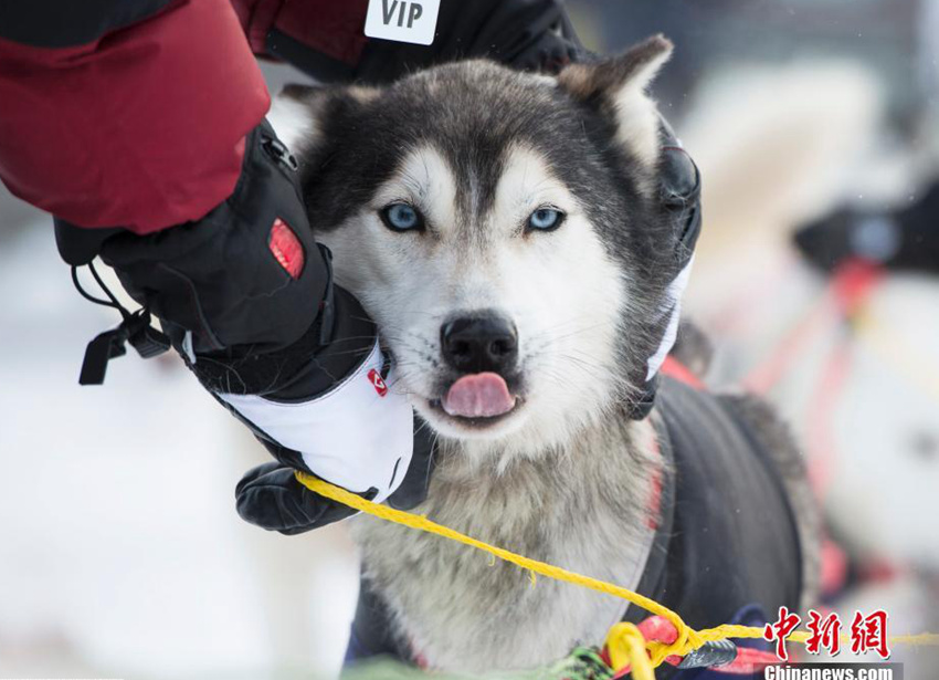 ???? ??? ????, ?? ??? ?? ??