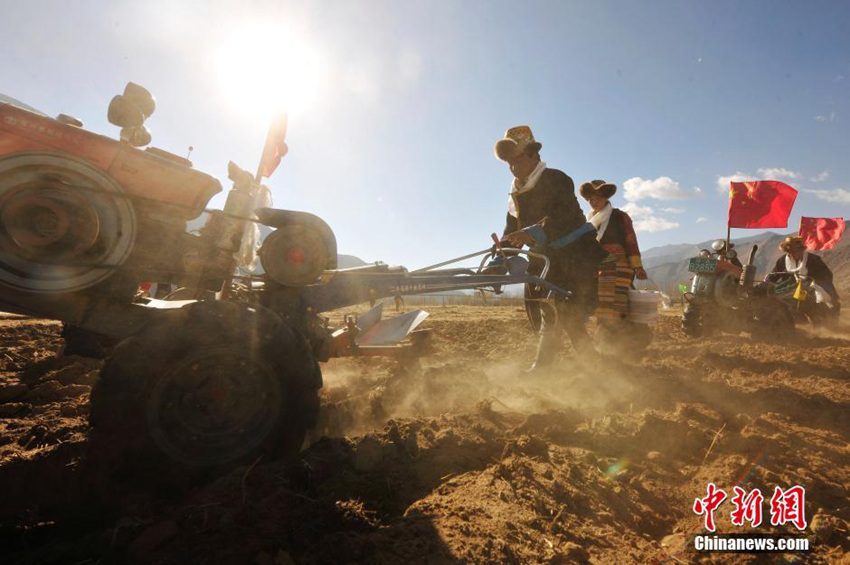 ??(西藏) ??? ?? ??? ??? ?? ???