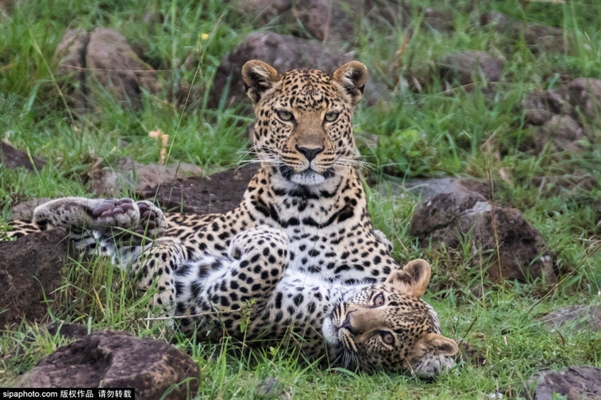 ???? ?? ? ??? ?? ???? ??