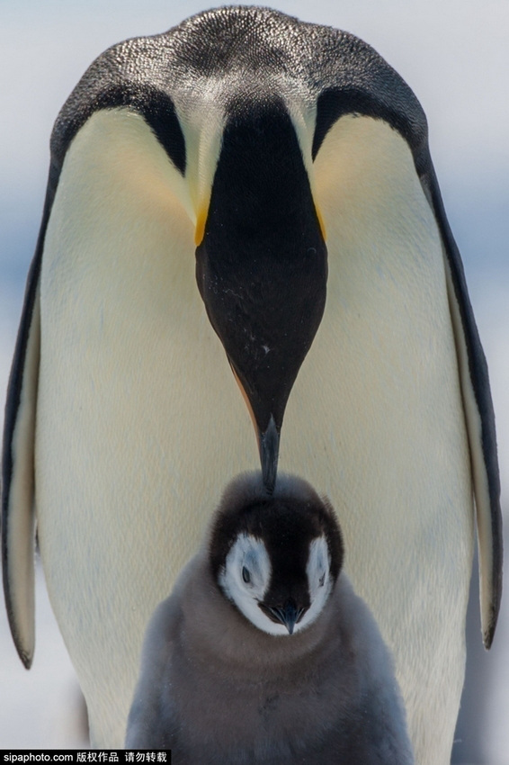 ???? ?? ? ??? ?? ???? ??