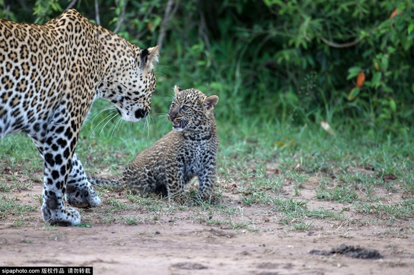 ???? ?? ? ??? ?? ???? ??