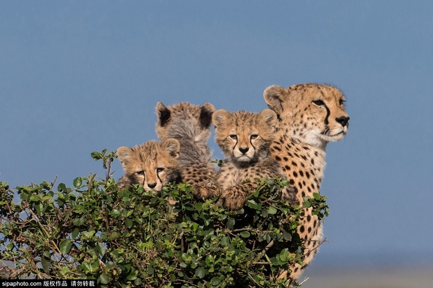 ???? ?? ? ??? ?? ???? ??