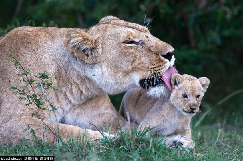 ???? ?? ? ??? ?? ???? ??