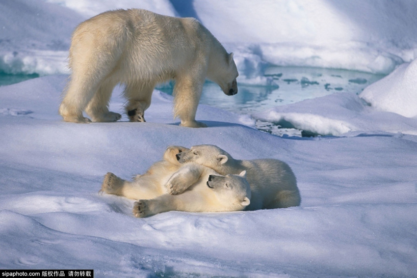 ???? ?? ? ??? ?? ???? ??