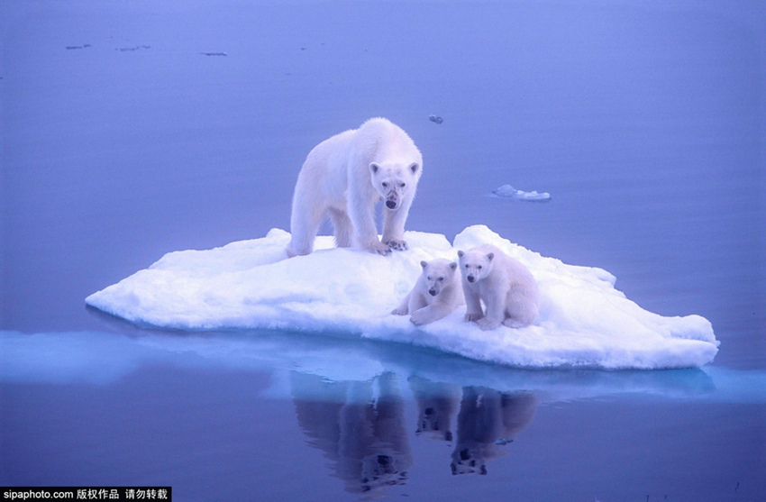 ???? ?? ? ??? ?? ???? ??