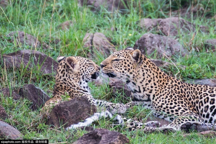 ???? ?? ? ??? ?? ???? ??