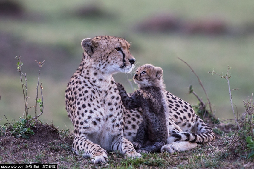 ???? ?? ? ??? ?? ???? ??