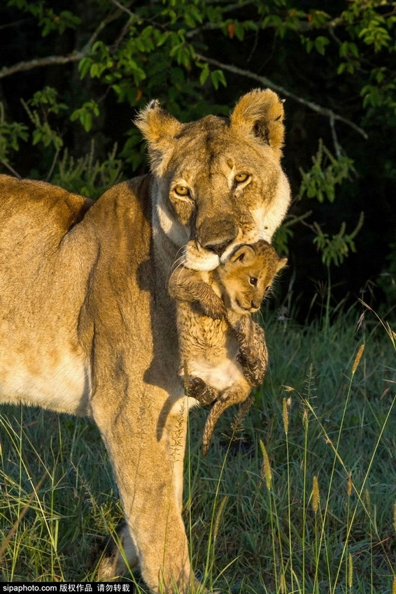 ???? ?? ? ??? ?? ???? ??