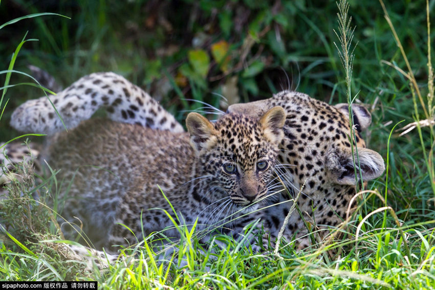 ???? ?? ? ??? ?? ???? ??