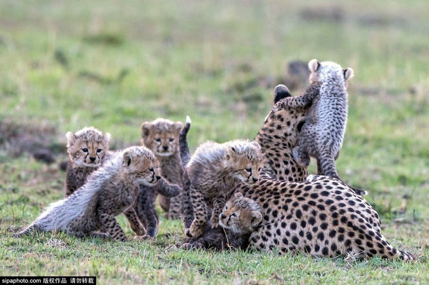 ???? ?? ? ??? ?? ???? ??