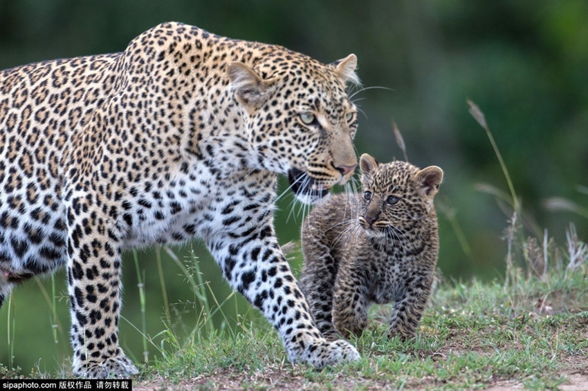 ???? ?? ? ??? ?? ???? ??