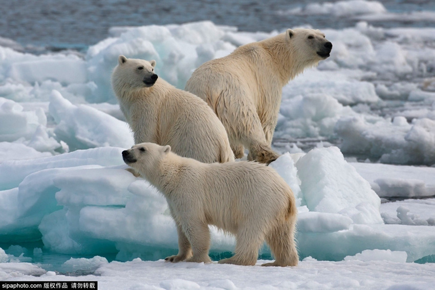 ???? ?? ? ??? ?? ???? ??