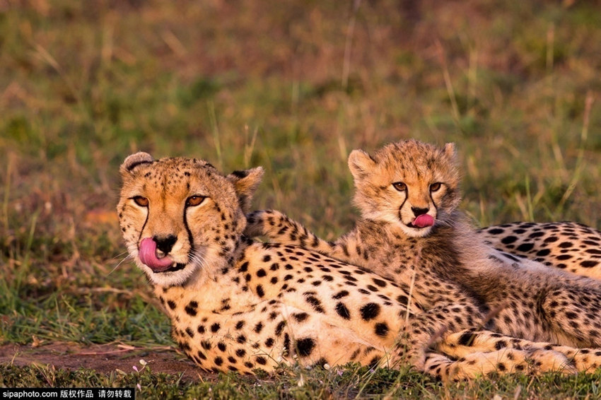 ???? ?? ? ??? ?? ???? ??