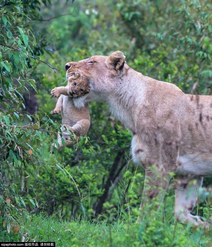 ???? ?? ? ??? ?? ???? ??