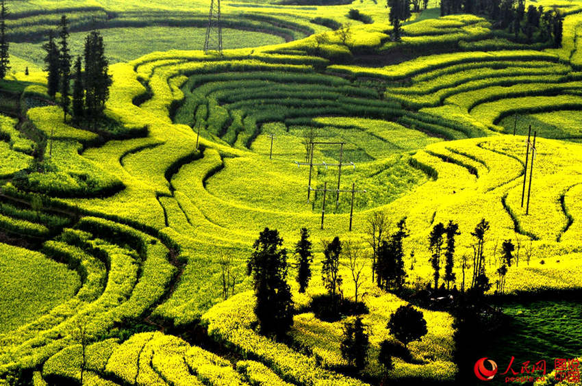 ?? ???, ???? ??? ?? ?? ????