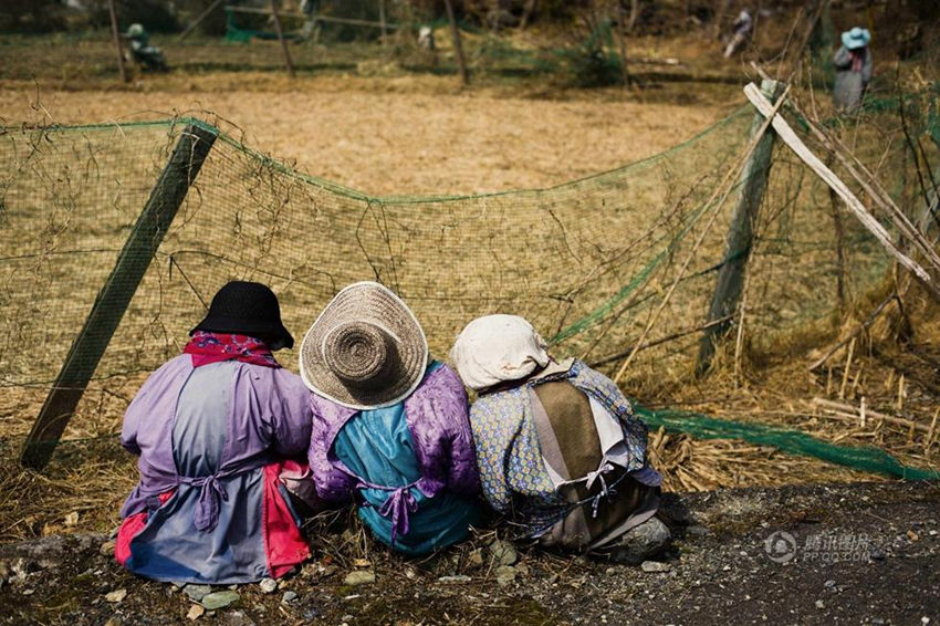 日??? ‘??’?? ?????, ?? ??? ?? ?