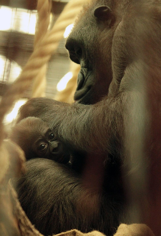 ????? ????, ?? ?? ???? ? ??