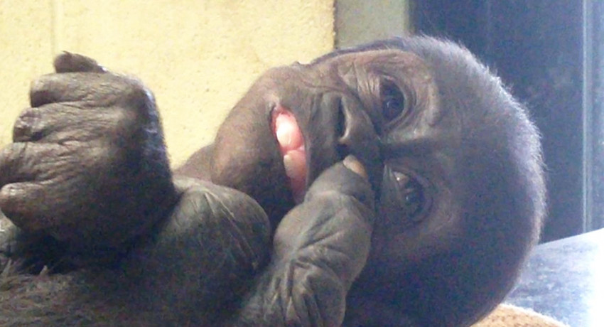 ????? ????, ?? ?? ???? ? ??