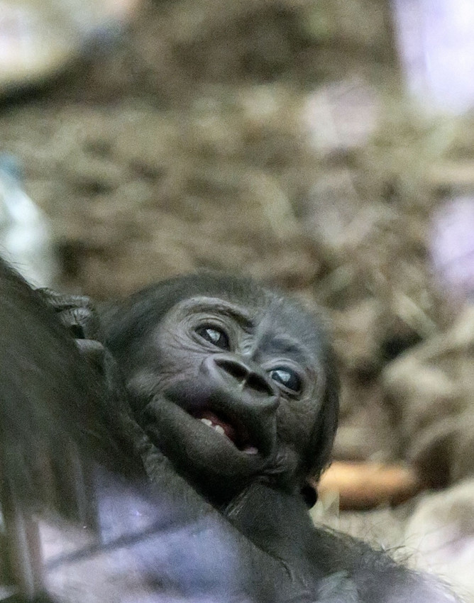 ????? ????, ?? ?? ???? ? ??