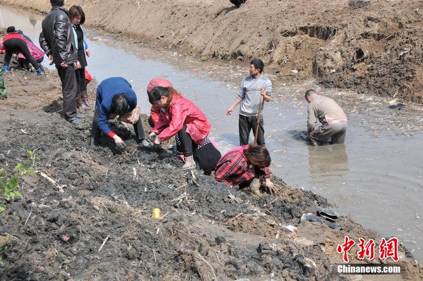 ?? ?? ????? ??? ? ?? ??, 100kg ??