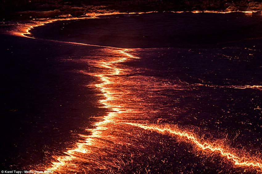 ?????? ????? ??? ???