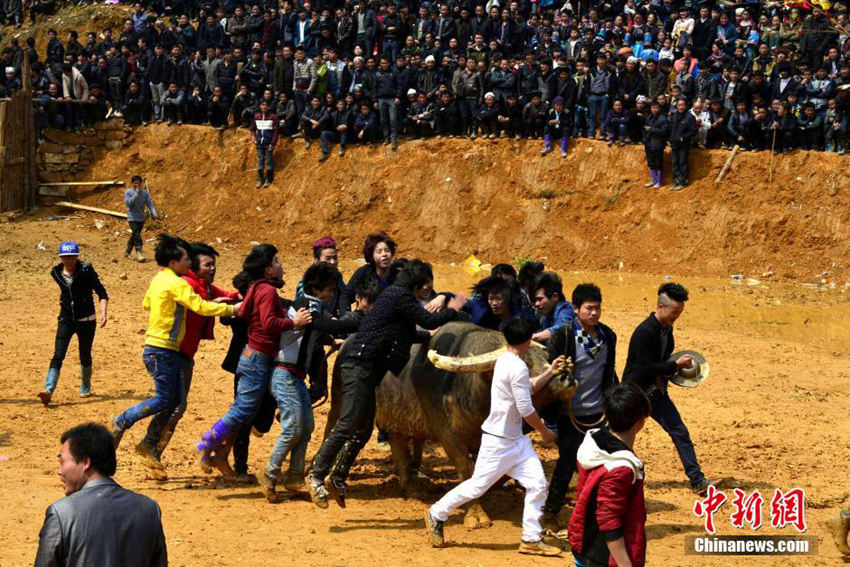 ???? ????? ?? ??…??? ??? ??