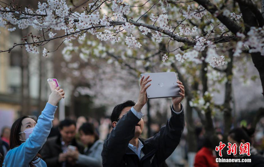 ???? ?? ??, ?? ? ?? ?? ??