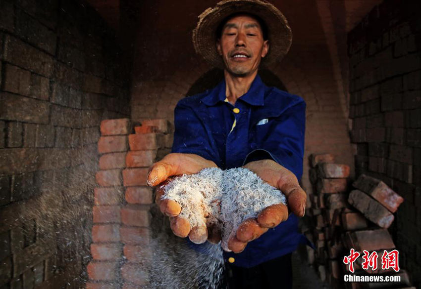 ???? ??? ??, ??? ????? ?? ???