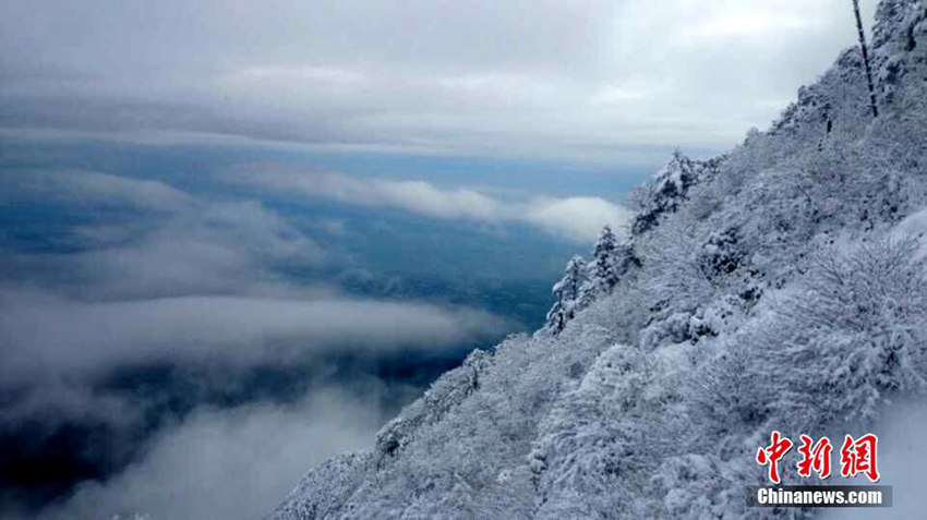 ?? ???? ??, ???? ?? ?? ??