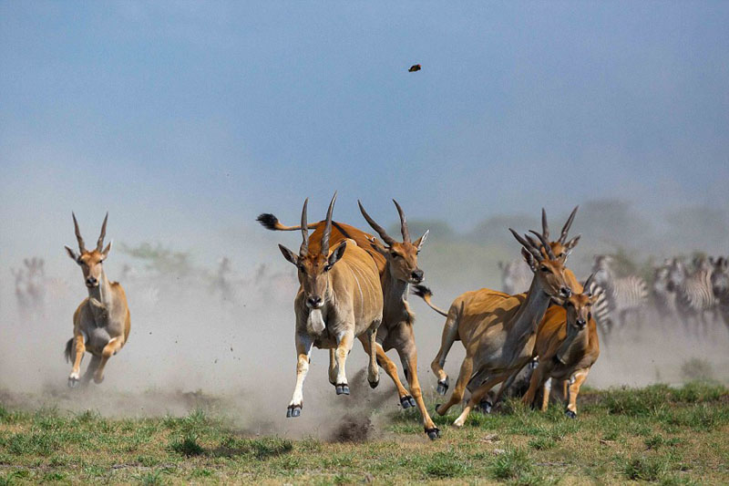 ?? ??, ???? ???? ???? ??