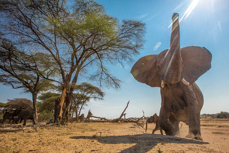 ?? ??, ???? ???? ???? ??