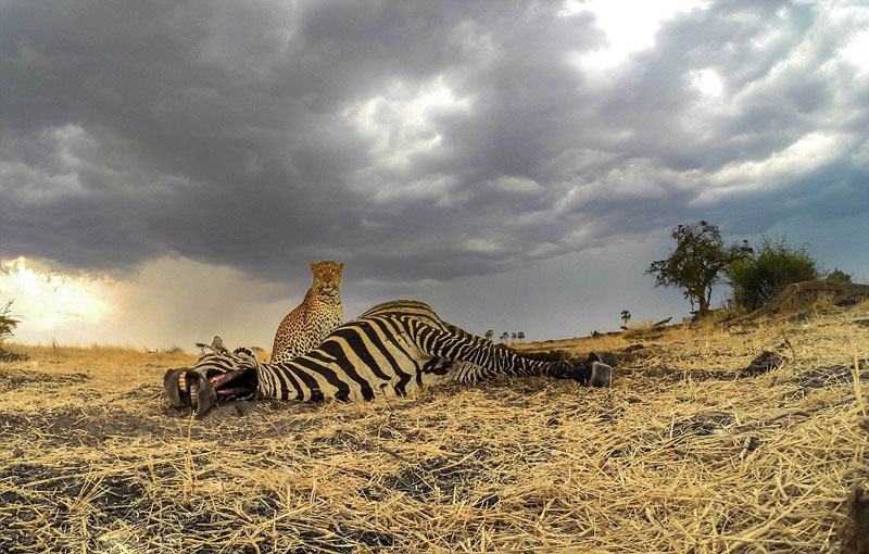 ?? ??, ???? ???? ???? ??