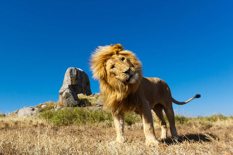 ?? ??, ???? ???? ???? ??