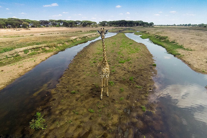 ?? ??, ???? ???? ???? ??