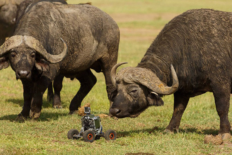 ?? ??, ???? ???? ???? ??