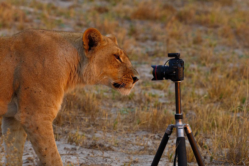 ?? ??, ???? ???? ???? ??