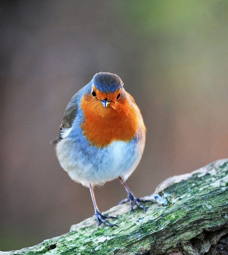 ????? ???? ?? ?? ??? ??