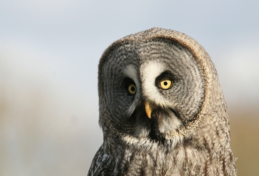 ????? ???? ?? ?? ??? ??