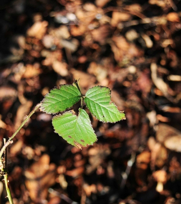 ????? ???? ?? ?? ??? ??