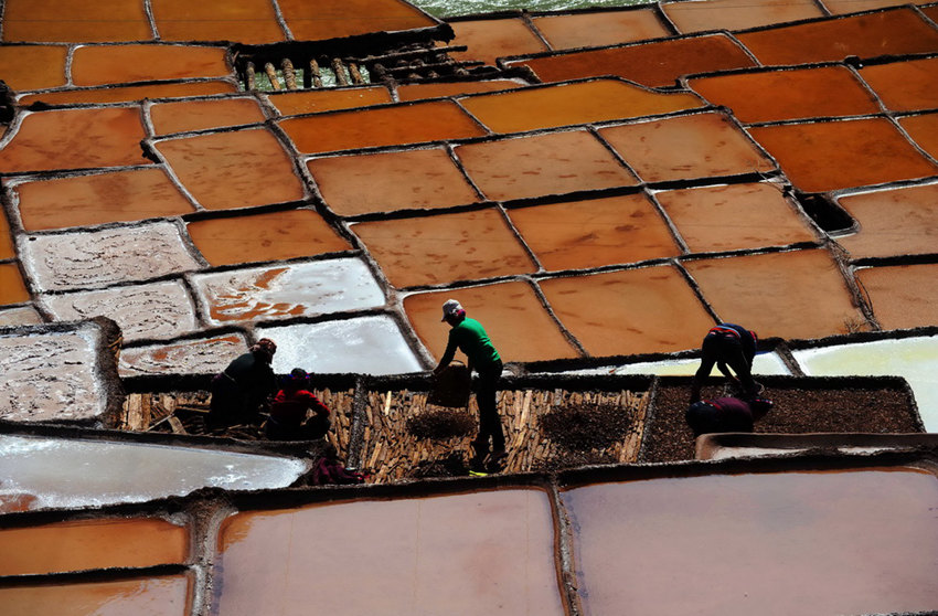 ?? ??(瀾滄)? ? ? ? ? ??? ???