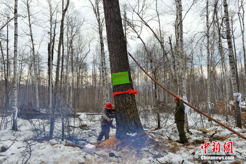 ???? ????? ???, ?? ?? ?? ??