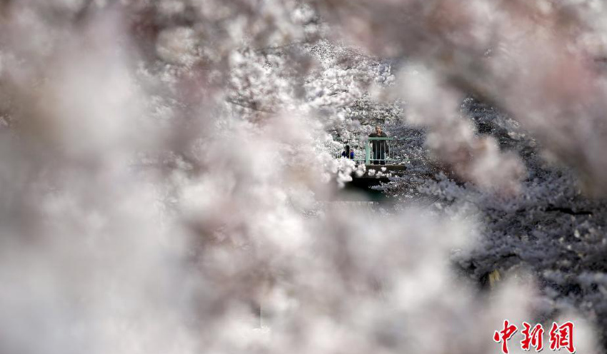 ?? ?? ??, ??? ?? ?? ?? ?? 