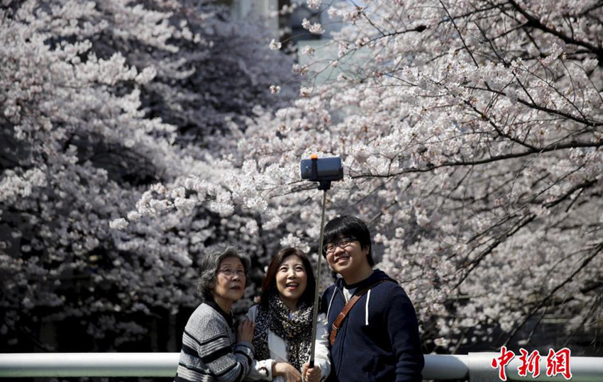 ?? ?? ??, ??? ?? ?? ?? ?? 