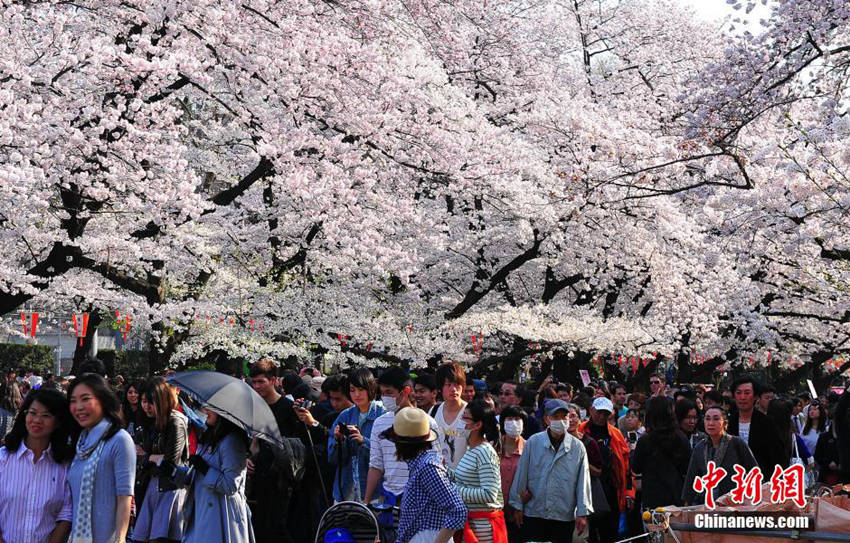 ?? ?? ??, ??? ?? ?? ?? ?? 